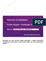 Estudo Dirigido - Radiologia