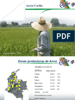 Capacitación Cultivo Del Arroz