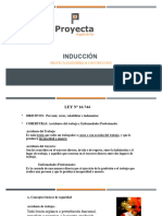 Presentacion Induccion Proyecta