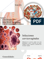 Infecciones Cervicovaginales