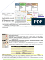 Antiarritmicos N°3 Cap 19 - P2