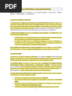 Esquema Tema 14 Los Orígenes Del Liberalismo