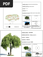 Ficha Árbols-Parte 1