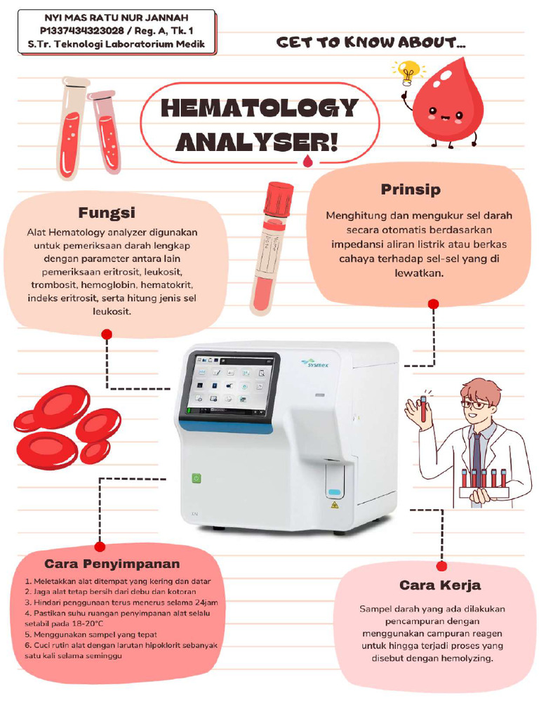 Krem Hijau Organik Ilustrasi Infografik Mengenal Tentang Panda Poster ...