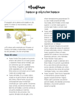 Neurocraneo y Viscerocraneo