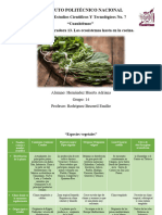 Actividad Integradora 13. Los Ecosistemas Hasta en La Cocina