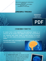 Cerebro Triuno - Desarrollo Integral