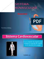 Sistemacardiovascular Resumen