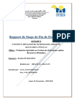 Rapport de Stage de Fin Formation 3