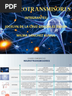 Cuadro Comparativo Neurotransmisores