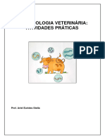 Apostila Microbiologia Veterinária