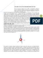 Estructura e Importancia Del Agua en El Metabolismo Celular