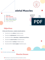 2-Skeletal Muscles Team441