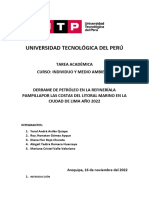 Semana 14 Ejercicio - Borrador Del Trabajo de Investigación I