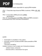 MB Chapter 5.2. Eukaryotic Transcription