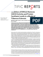 Inhibition of ERK1/2 Restores Gsk3 β Activity and Protein Synthesis Levels in a Model of Tuberous Sclerosis