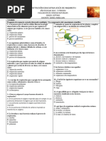 Examen Grado 7°