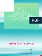 Brachial Plexus