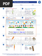 Worksheet Science Grade 4 Plant Structure and Function 1 0