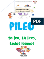 Proyecto Pileo 2023