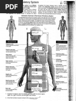 Circulatory