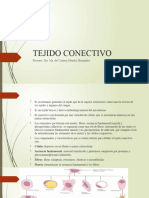 Tejido Conectivo