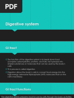 Digestive System