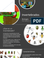 Invertebrados