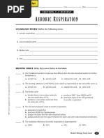 Aerobic Respriration Worksheet