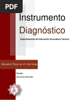 Diagnostico Educacion Fisica 2021