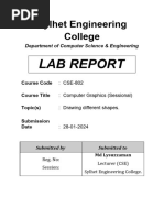 CG Lab Report Must Edit The Style