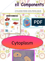 A1 - Cell Components