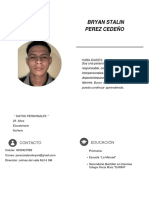 CV Bryan Perez