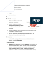 Sistema Cardiovascular Humano