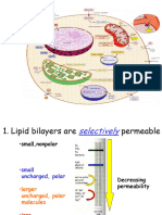 Lec.4 Diffusion and Osmosis