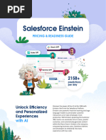 Einstein Features Cheat Sheet