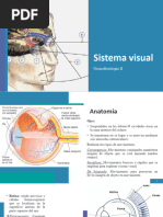 Sistema Visual