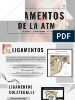 Ligamentos de La Atm