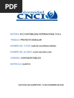 Proyecto Modular de Contabilidad Internacional