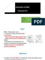 P4. Extraction of RNA