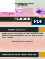 Tema 2 Tejidos