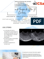 Imagenología de Útero y Ovarios