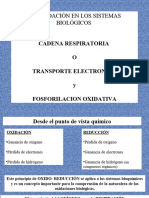 Cadena Respiratoria Aporte Elctronico y Fosforilación Oxidativa