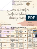 Cuadro Comparativo. Anatomía Radicular y Abordaje Cameral