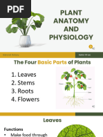 Lesson 4 - Plant Anatomy and Physiology