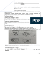 Biología Apunte Parte IV