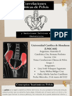 Correlaciones Clínicas de La Pelvis