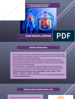 Sistem Pernapasan & Kekebalan Tubuh