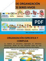 Niveles de Organización de Los Seres Vivos