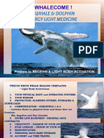 Whale Medicine - Presentation